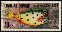 [Fish of the Arabian Gulf, Tipe FX]