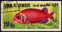 [Fish of the Arabian Gulf, Tipe GB]