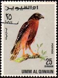 [Birds - Falcons, type HR]