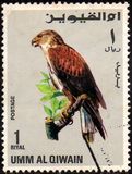 [Birds - Falcons, type HU]