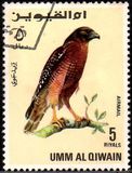 [Birds - Falcons, type HX]