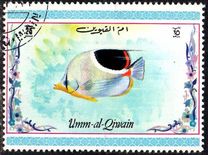 [Tropical Fish, Tipo ACK]