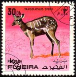 [Wild Animals, тип ABI]