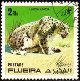 [Wild Animals, тип ABL]