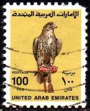 [Hunting Falcon, type JW4]