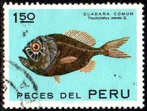 [Peruvian Fish, type TO]