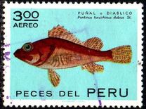 [Peruvian Fish, type TQ]