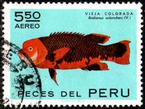 [Peruvian Fish, type TR]