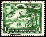 [Local Motives, type AX2]