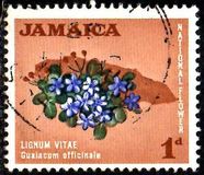 [Local Motifs, тип FX]