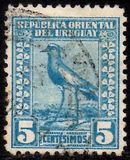 [Southern Lapwing, වර්ගය FO4]