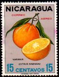 [Airmail - Fruit, Scrivi AEE]
