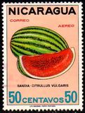[Airmail - Fruit, Scrivi AEI]