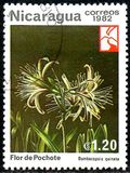 [Flowers, type BFE]