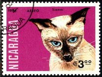 [Airmail - Cats, type BLE]