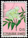 [Haitian Flowers, type HY1]