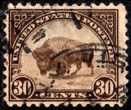 [Bisonte., tipo FH1]