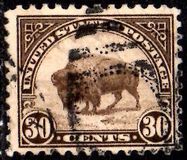 [Bisonte., tipo FH1]