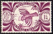 [Free France, प्रकार AN6]