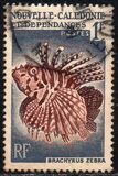 [Marine Life, type BZ]