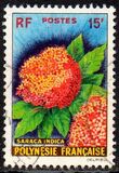 [Flowers, වර්ගය N]