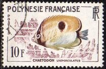 [Fish, 类型 S]