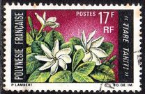 [Flowers, type CF]