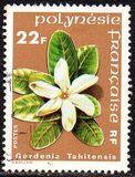 [Flowers, タイプ IZ]