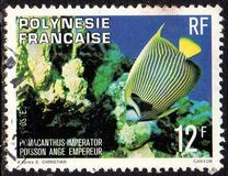 [Fish, type KD]