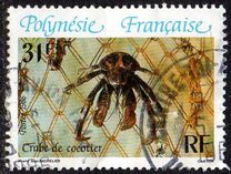 [Crabs, type PL]