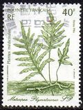 [Medicinal Plants - Designs showing Illustrations by Gilles Cordonnier, type QE]