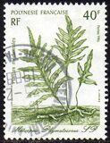 [Medicinal Plants - Designs showing Illustrations by Gilles Cordonnier, type QE]