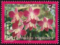 [Orchids, Typ ABK]