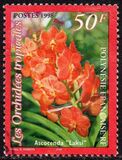 [Orchids, Typ ABM]