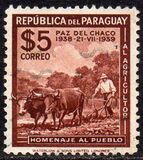 [The 1st Anniversary of Chaco Boundary Peace Conference, Buenos Aires, type IN]