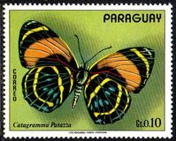 [South American Butterflies, type AXU]