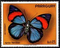 [South American Butterflies, type AXV]