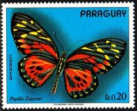 [South American Butterflies, type AXW]