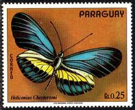 [South American Butterflies, type AXX]