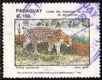 [Endangered Mammals, type DZI]