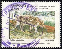 [Endangered Mammals, type DZI]