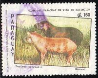 [Endangered Mammals, type DZJ]