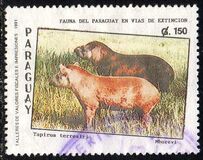 [Endangered Mammals, type DZJ]