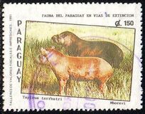 [Endangered Mammals, type DZJ]
