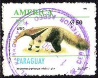 [Airmail - America - Endangered Species, տեսակ ECH]