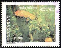 [Environmental Protection - The Changing Climate - Native Plants, type ZFN]
