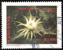 [Environmental Protection - The Changing Climate - Native Plants, type ZFP]