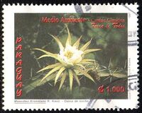 [Environmental Protection - The Changing Climate - Native Plants, type ZFP]