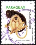 [International Stamp Exhibition "MERCOSUR '97" - Asuncion - Native Flowers, tipas ZFR]