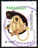 [International Stamp Exhibition "MERCOSUR '97" - Asuncion - Native Flowers, tipas ZFR]